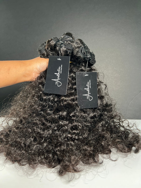 Raw Vietnamese Burmese Curly